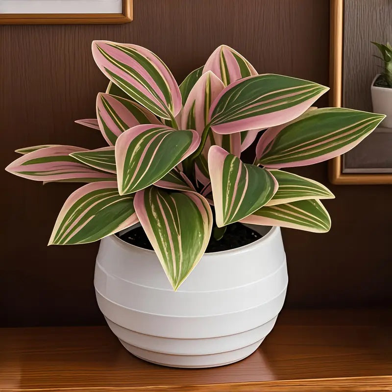 Artificial Green Plant with White Pot